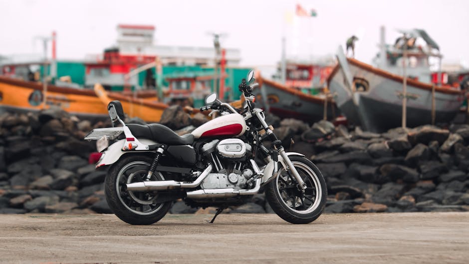Harley-Davidson Iron 883 2022 Sportster