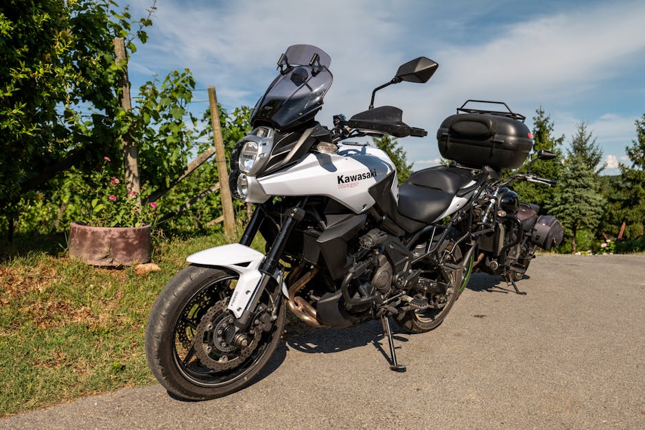 Kawasaki Versys-X 300 2022 Tourer - foto 2