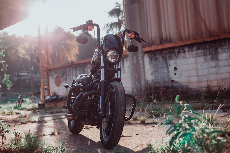 Harley-Davidson Iron 883 2022 Sportster - foto 3