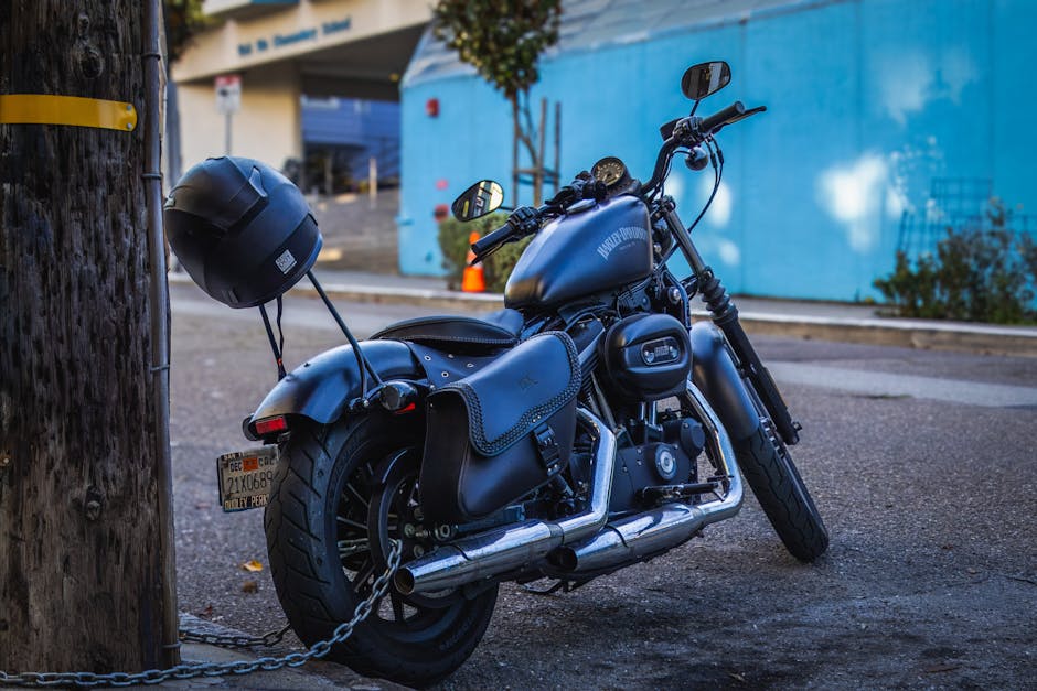 Harley-Davidson Iron 883 2022 Sportster - foto 2