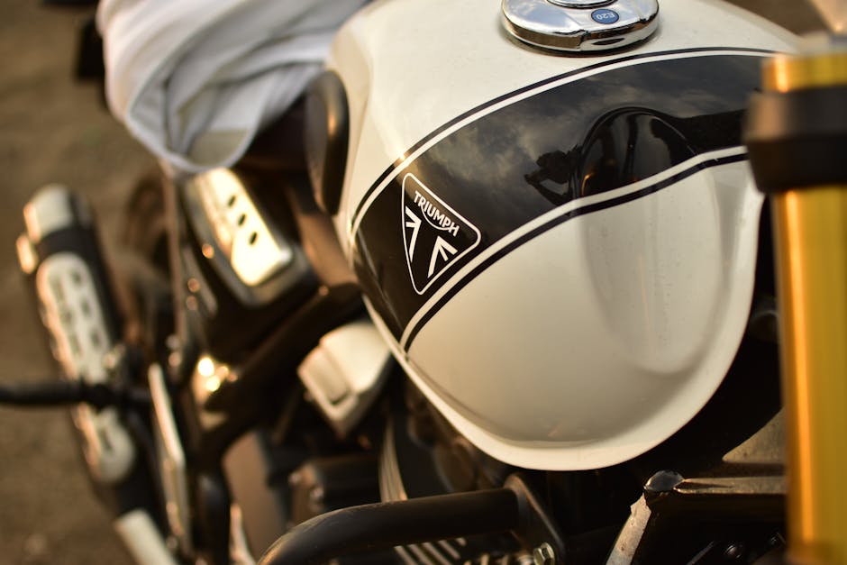 Triumph Tiger 900 2023 GT Pro - foto 2